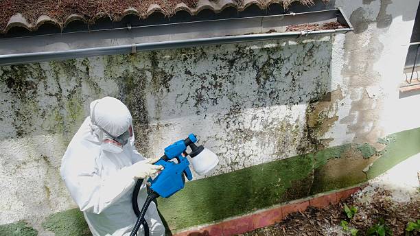 Top rated local Commercial Mold Remediation specialists in Huntingdon, PA